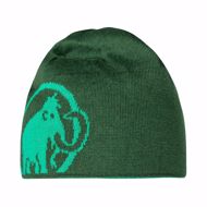gorro-mammut-logo-verde_02