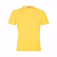camiseta-aegility-hombre-amarilla_01