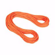 cuerda-simple-9.5-alpine-dry-standard-naranja